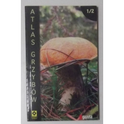 Atlas grzybów część 1